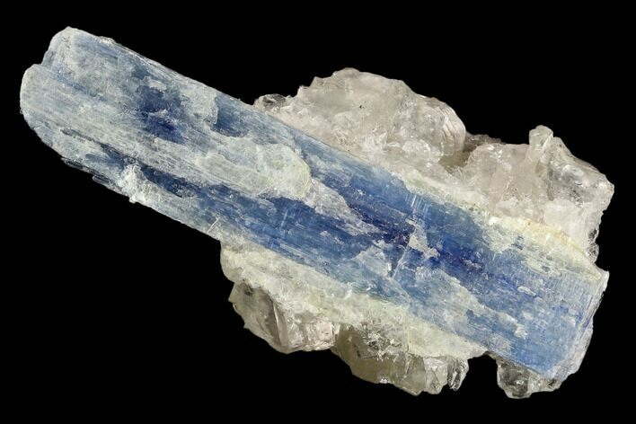 Vibrant Blue Kyanite Crystals In Quartz - Brazil #118859